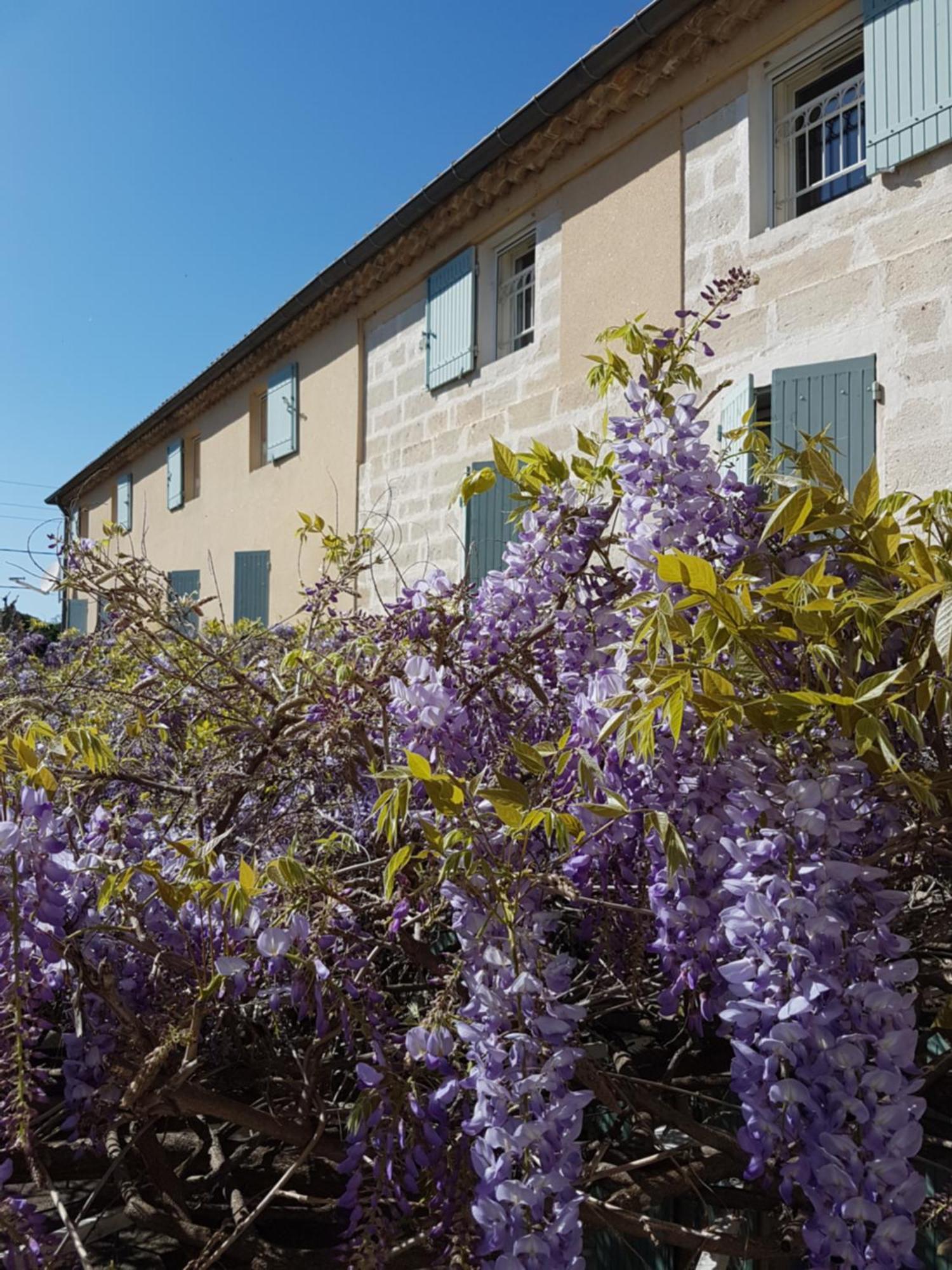 Logis Hotel La Ferme Avignon Exterior foto